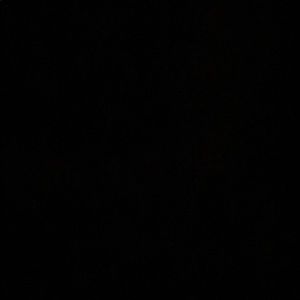 Meet your Posher, Billie